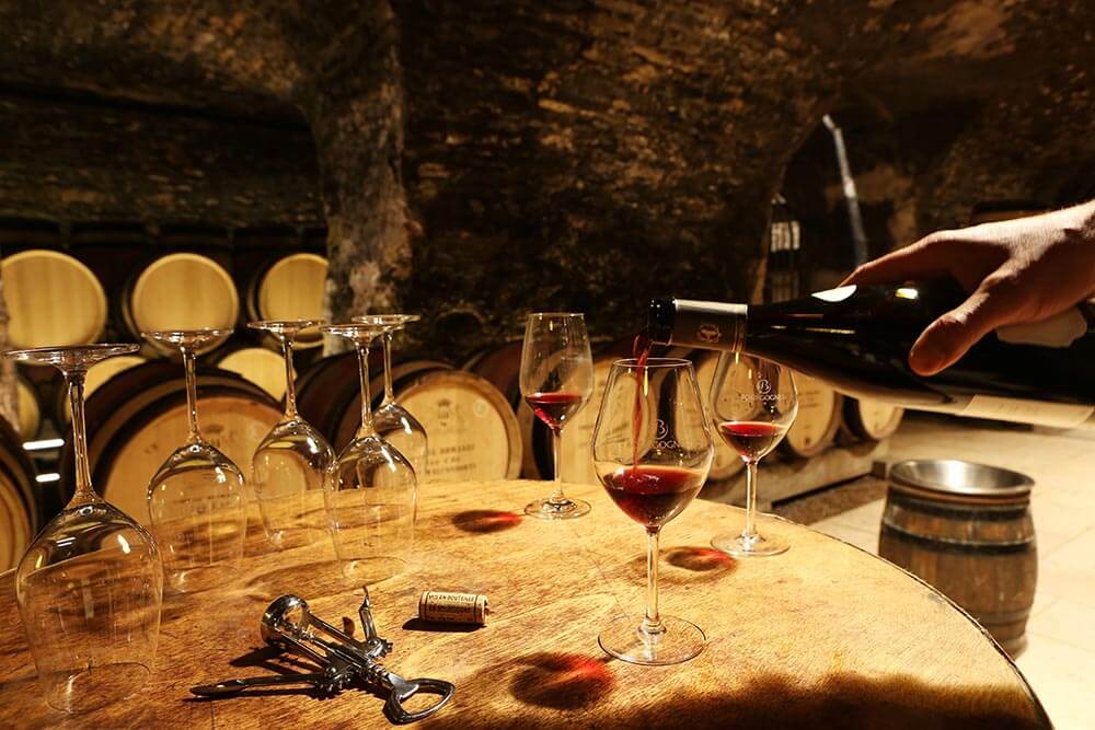 Oenotourisme et dégustations de vin pour experts en Bourgogne et Franche-Comté
