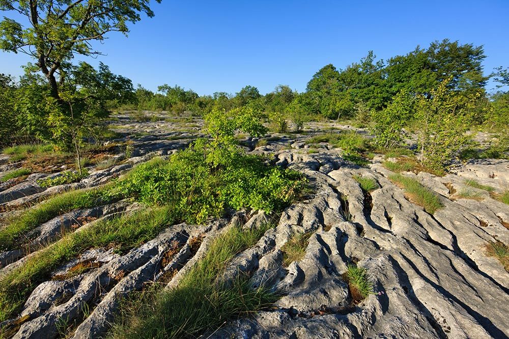 Visite guidée du site préhistorique de Loulle dans le Jura