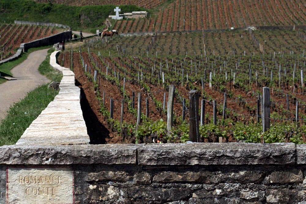 Visite guidée en Bourgogne et Franche-Comté printemps été 2022